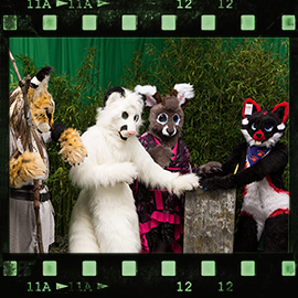 Eurofurence 2015 fursuit photoshoot. Preview picture of Gatchi, Monti, Bubschi, …